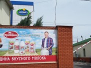«Молвест».