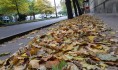 В Воронеж окончательно пришла осень.