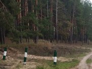 Женщина с ребенком заблудились в лесу.