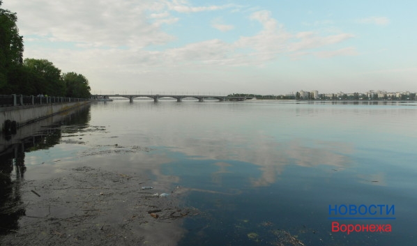 Воронежцев попросили оценить экологическую обстановку в городе.