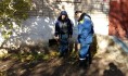 Спасатели выяснили, что единственный способ спасти кошку - раскопать грунт и поднять плиту.