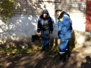 Спасатели выяснили, что единственный способ спасти кошку - раскопать грунт и поднять плиту.
