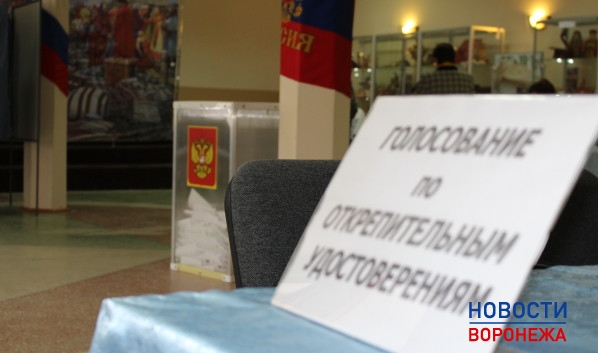 Воронежцы обсудят, хотят ли они сохранит выборы мэра.