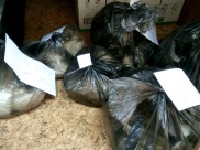 Изъяли синтетический наркотик.