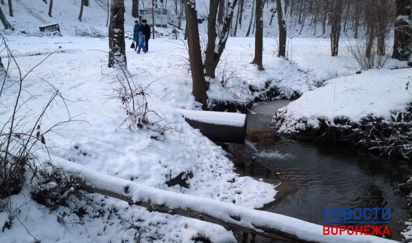В Воронеже уже выпал первый снег.
