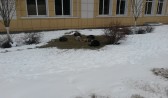 Воронежцев предупреждают о сильном морозе.