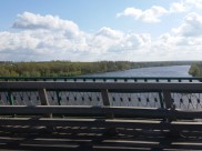 Уходя от преследования, воронежец переплыл реку.