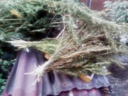 Наркотики воронежец хранил дома.