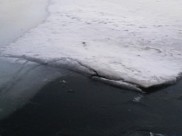 Лед еще слишком тонкий.