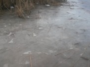 Лед еще совсем тонкий.