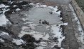 Заморозки вернутся в Воронеж.