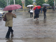 На неделе в Воронеже будет дождливо.