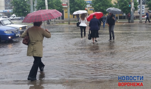 На неделе в Воронеже будет дождливо.
