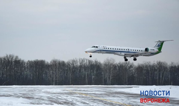 Самолет сел в Воронеже.