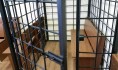 Воронежцы считают, что нужно сохранить смертную казнь.