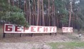 Воронежцу грозит срок за срубленные деревья.
