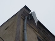 Из-за потепления на домах могут образовываться сосульки.