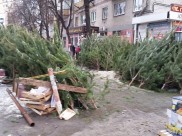 Проходят рейды по елочным базарам.