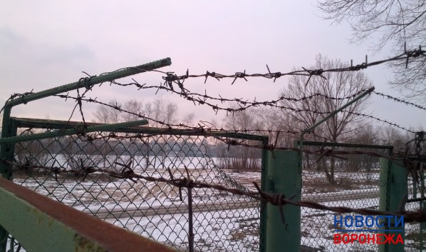 Воронежцу грозит срок за хранение пороха и патронов.
