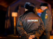 В Воронеже будут дежурить 400 полицейских.