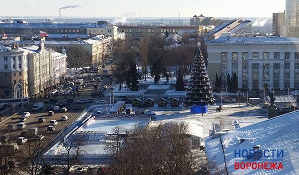 Вокруг ёлки на площади Ленина много разговоров.