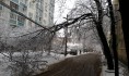 Из-за непогоды деревья могут падать на провода.