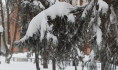 Снегопад будет продолжаться еще несколько часов.