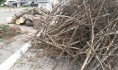 Одно из самых частых преступлений - незаконная рубка лесных насаждений.