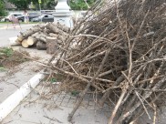 Одно из самых частых преступлений - незаконная рубка лесных насаждений.