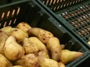Груши изъяли и уничтожили.