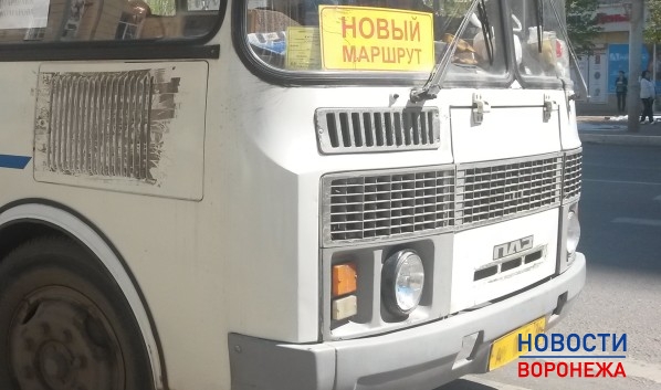 Запускают маршруты для дачников.