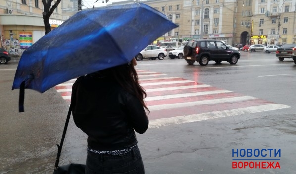 В Воронеже пройдут небольшие дожди.
