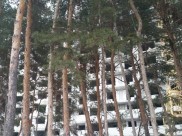 Наш регион - лидер по объемам ввода жилья на человека в год.