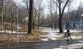 Небольшие морозы вернутся в Воронеж.