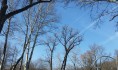 В ближайшие дни в городе будет тепло.