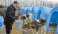 Алексей Гордеев посетил сельхозпредприятия.