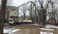 Начали вырубку деревьев.