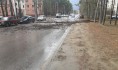 Деревья перекрыли дорогу.