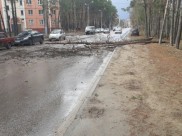 Деревья перекрыли дорогу.