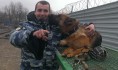 Служебная немецкая овчарка Коша с кинологом.