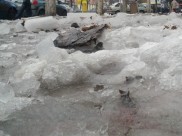 Девушка пострадала от падения глыбы льда.