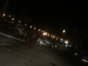 Лошадь бродила в темноте по улице.