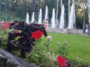 Потеплеет до +24 градусов.
