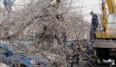Ветер может повалить деревья.