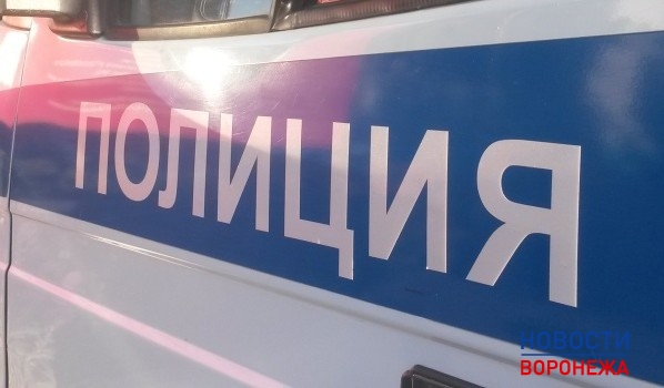 Полицейские задержали грабителя.