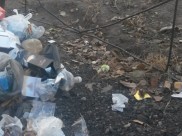 Землю завалили мусором.