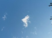 В Воронеже будет тепло.