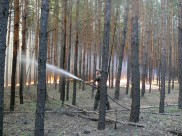 Противопожарный режим вводят, чтобы не допустить лесных пожаров.