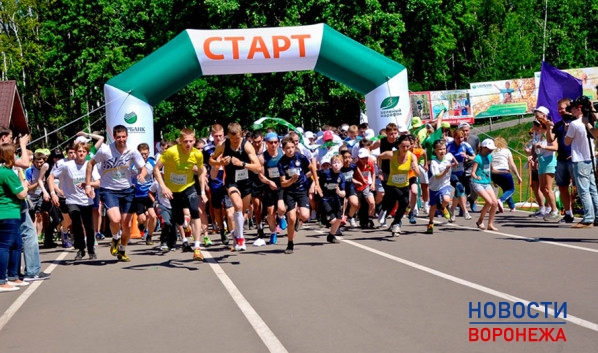 «Зеленый марафон» состоится 28 марта 2017 года.