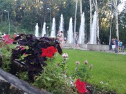 В Воронеж пришло долгожданное тепло.